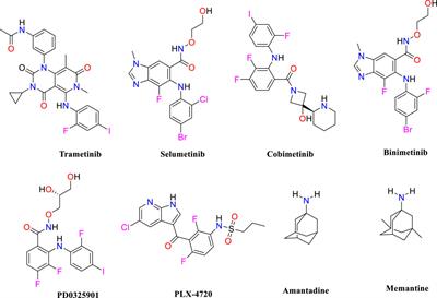 Virtual screening, molecular docking, MD simulation studies, DFT calculations, ADMET, and drug likeness of Diaza-adamantane as potential MAPKERK inhibitors